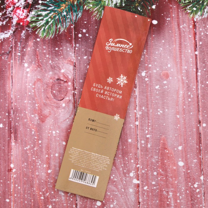 Ручка в конверте "Подарок от Деда Мороза"