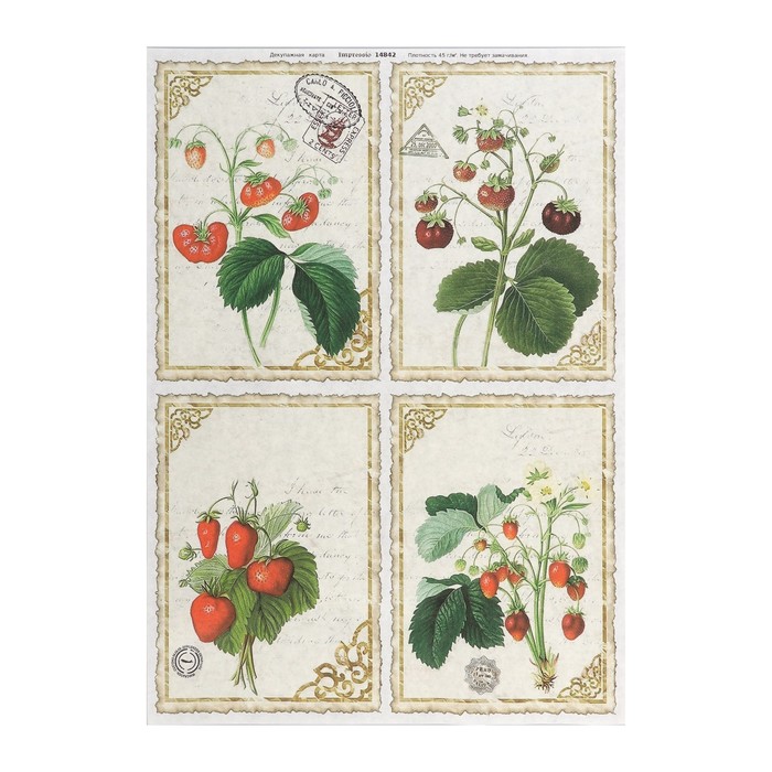 Декупажная карта "Ягодные веточки" плотность 45 г/м2, формат А4