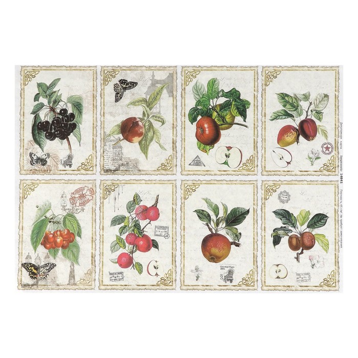 Декупажная карта "Сладкие веточки" плотность 45 г/м2, формат А4