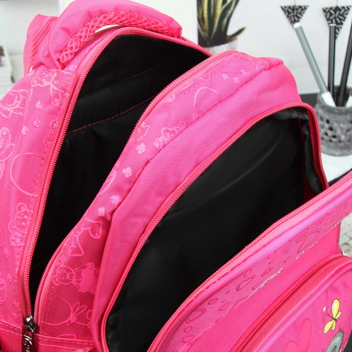 Рюкзак школьный, 2 отдела на молнии, наружный карман, 2 боковые сетки, усиленная спинка, цвет малиновый