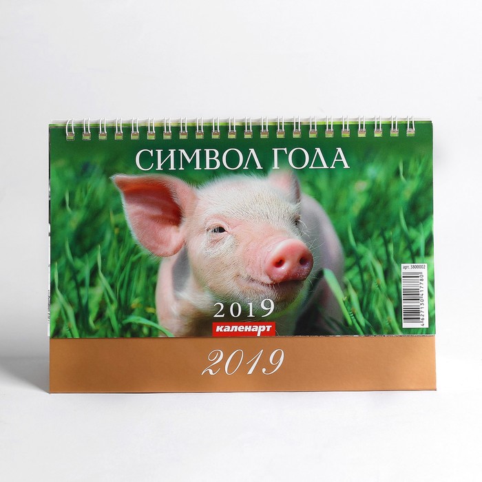 Календарь настольный, домик "Символ года - 2" 2019 год, 20х14см