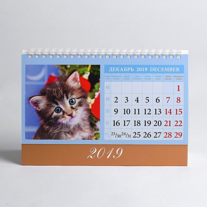 Календарь настольный, домик "Котята" 2019 год, 20х14см