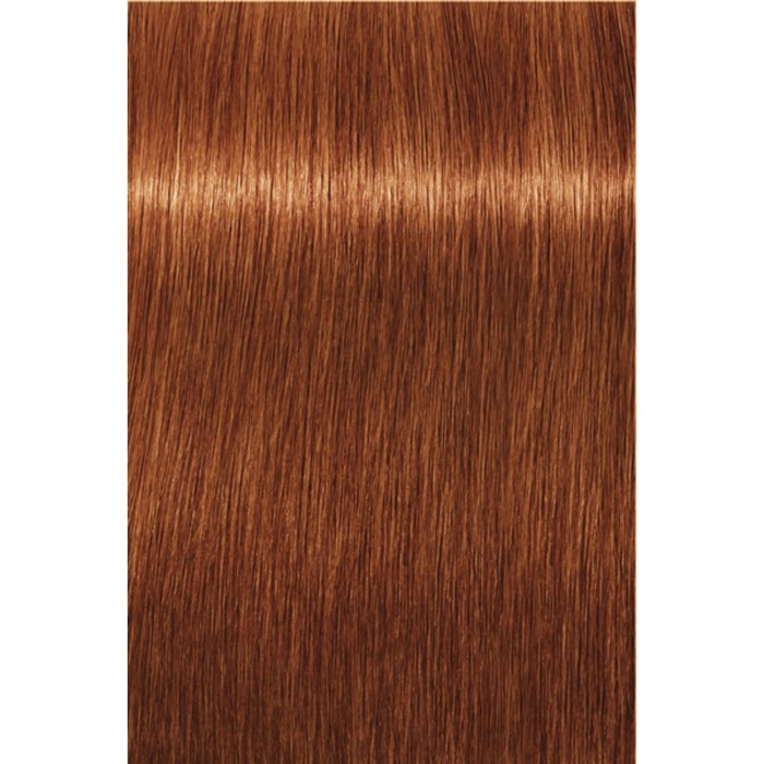 Перманентный крем-краситель Indola Red &amp; Fashion 8.43 Светлый русый медный золотистый, 60 мл   38173