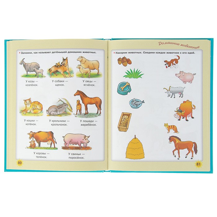 Большая книга по развитию речи. Автор: Жукова О.С.