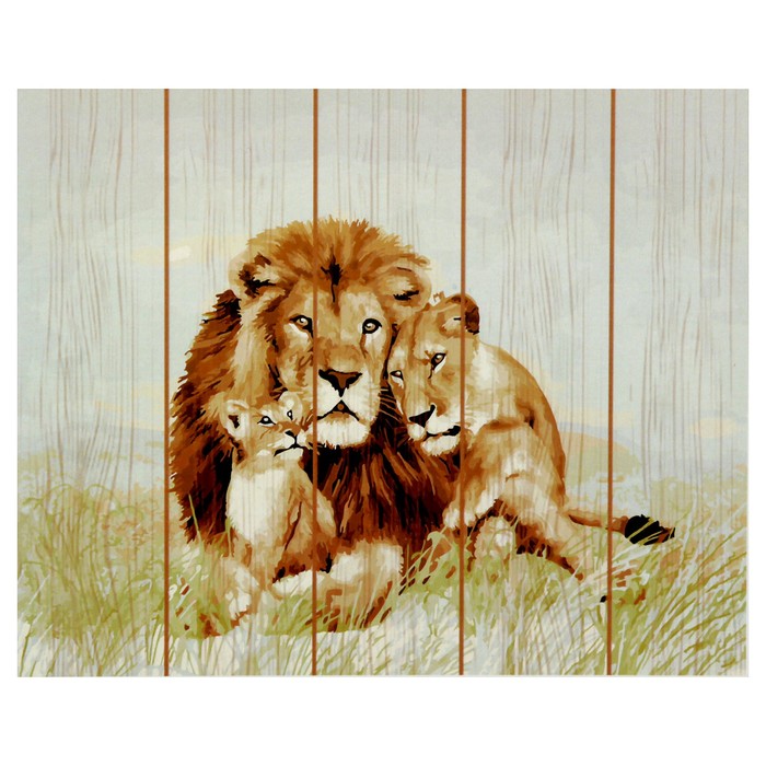 Картины по номерам на дереве 40х50 "Царственная нежность" 21 цв