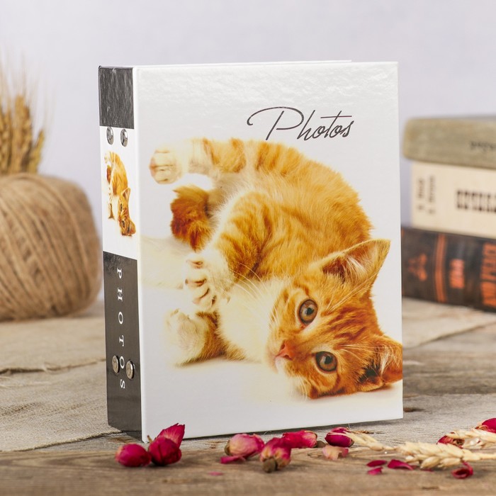 Фотоальбом на 100 фото 10х15 см "Кошки-2" МИКС