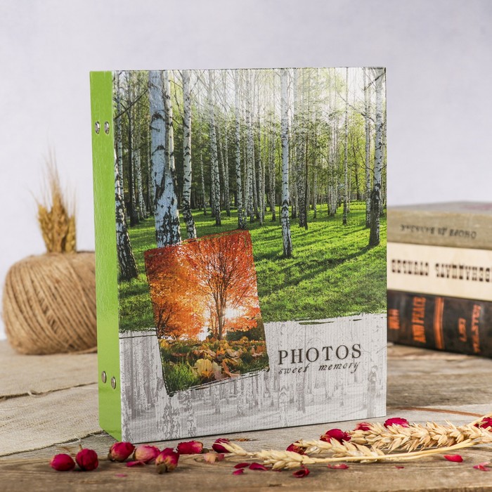 Фотоальбом на 200 фото 10х15 см "Ландшафт-1" МИКС