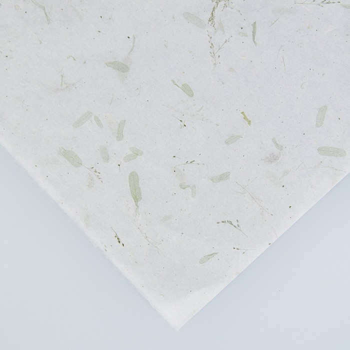 Бумага тутовая, принт ручного изготовления, HANJI, «Листопад» 0,64 х 0,94 м, 30 г/м2