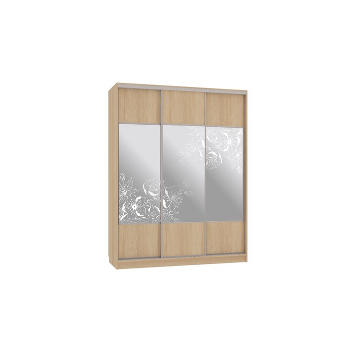 Шкаф-купе Бассо 6 цветы 2 (полки слева), 604х1770х2305, Дуб сонома