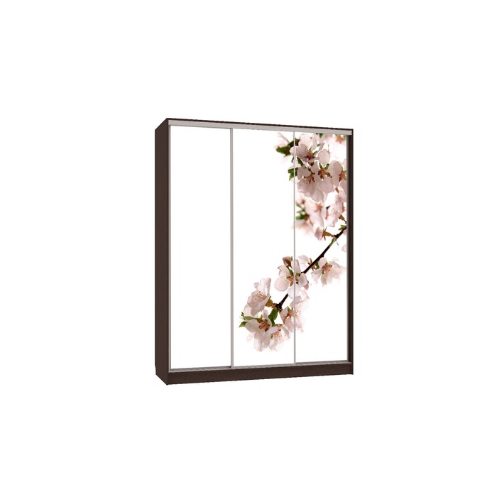 Шкаф-купе Бассо 7 Яблоня (полки слева), 604х1770х2305, Венге