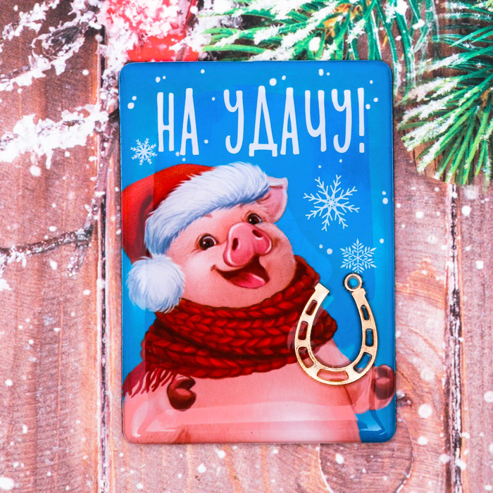 Магнит "На удачу"