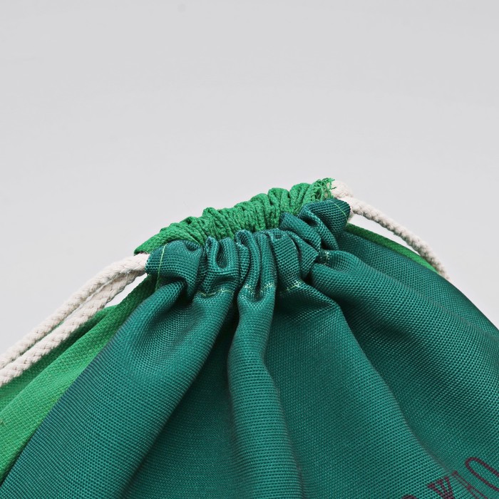 Мешок для обуви "Покоряй вершины", 40 х 32 см