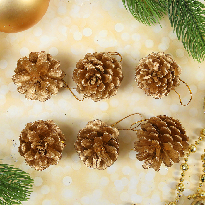Набор природного декора "Золотые шишки", набор 6 шт.