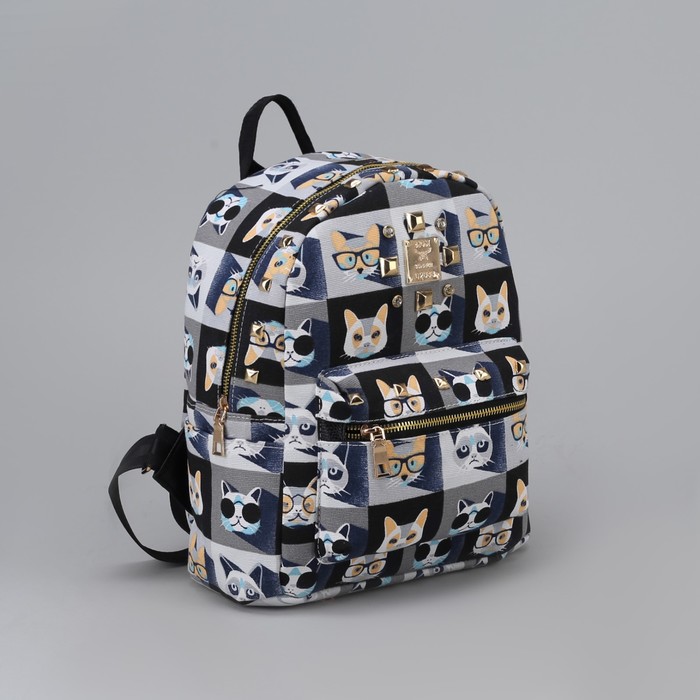 Рюкзак детский "Кошки в очках", отдел на молнии, наружный карман, цвет чёрный/серый