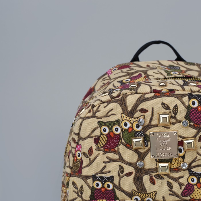 Рюкзак детский "Совы", отдел на молнии, наружный карман, цвет бежевый