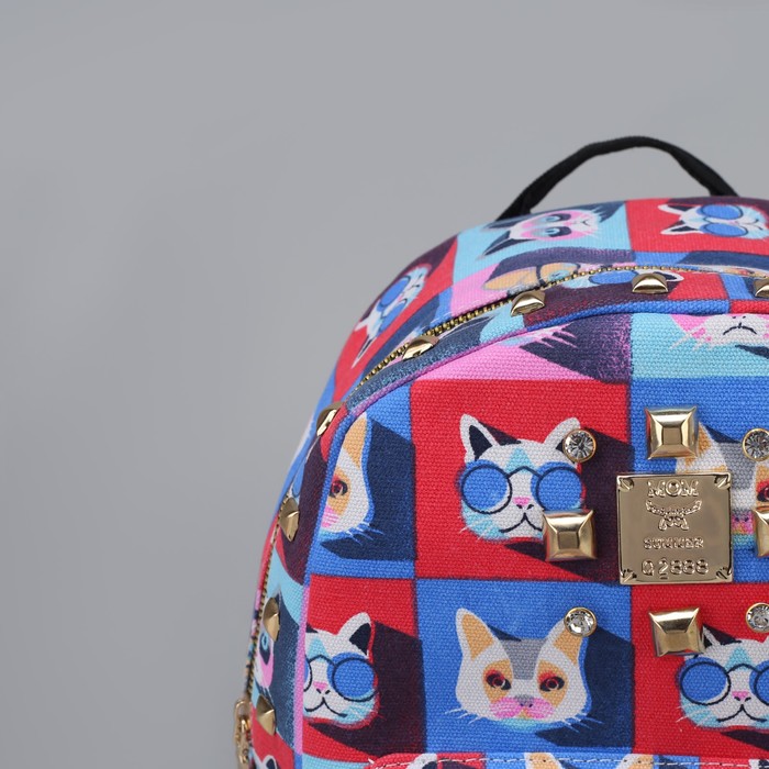 Рюкзак детский "Кошки", отдел на молнии, наружный карман, МИКС