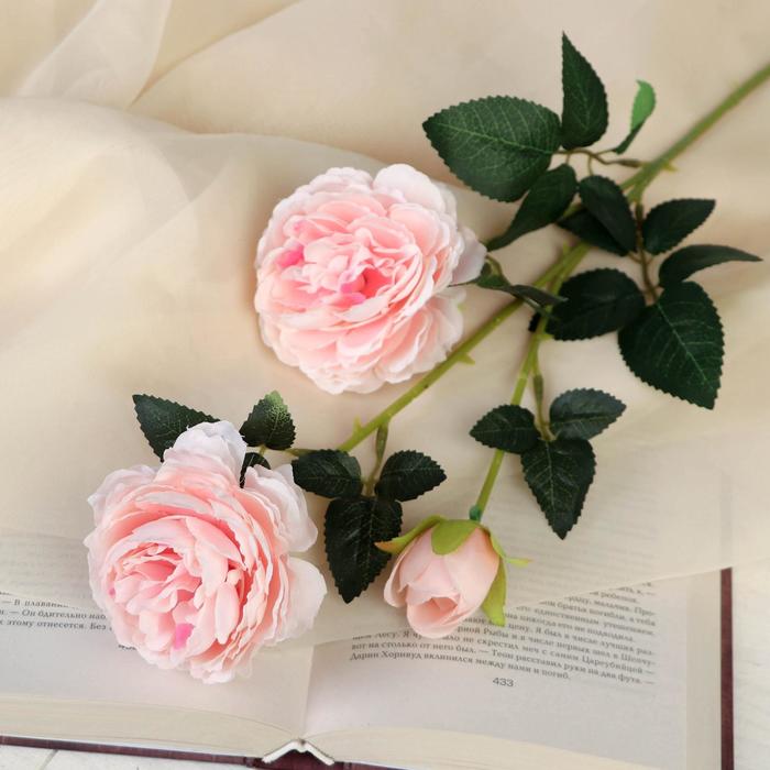 Цветы искусственные "Роза терция" 8х60 см, розовый