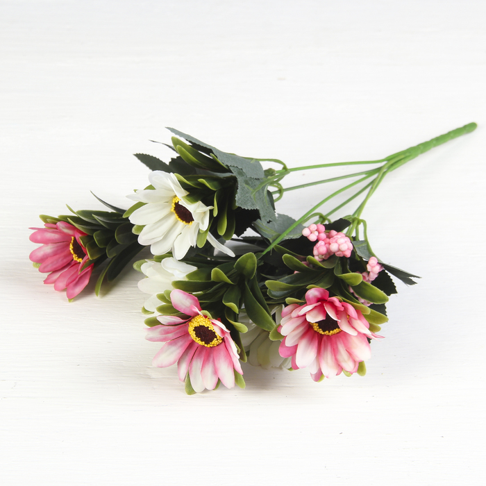 Букет "Капская маргаритка" 6*30 см, микс