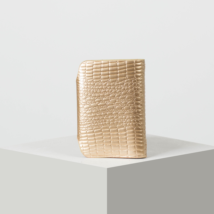 Визитница вертикальная, лак рептилия, 1 ряд, 26 листов, цвет бежевый