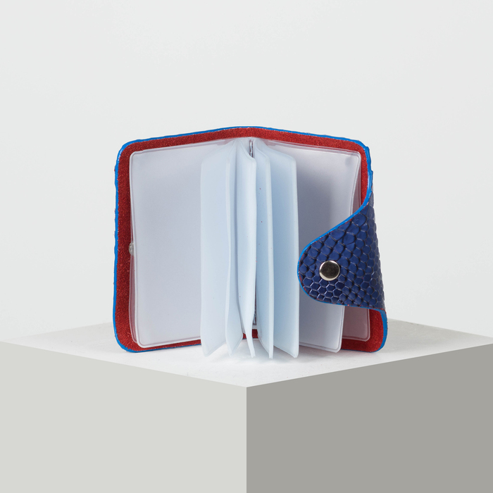 Визитница вертикальная, 1 ряд, 26 листов, змея, цвет синий