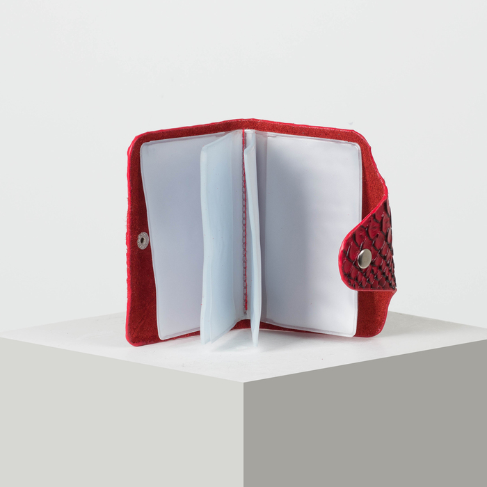 Визитница вертикальная, 1 ряд, 26 листов, змея, цвет красный