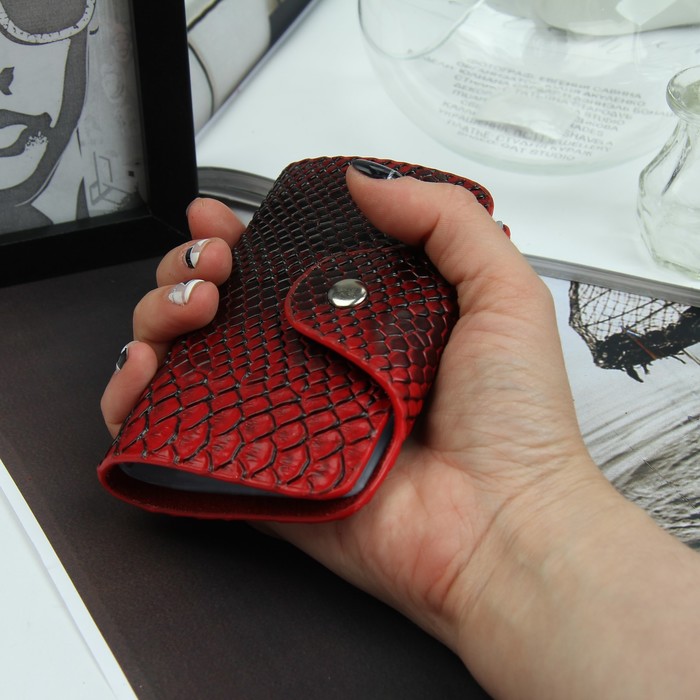 Визитница вертикальная, 1 ряд, 26 листов, змея, цвет красный