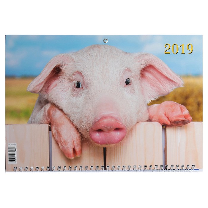 Календарь квартальный, трио "Символ года - 1" 2019 год, 31х69см