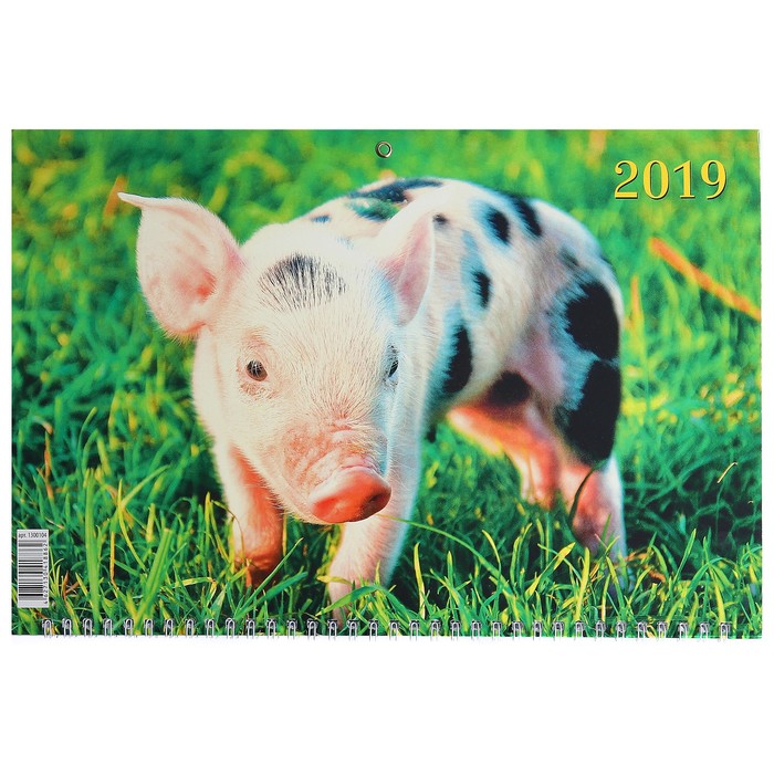 Календарь квартальный, трио "Символ года - 11" 2019 год, 31х69см