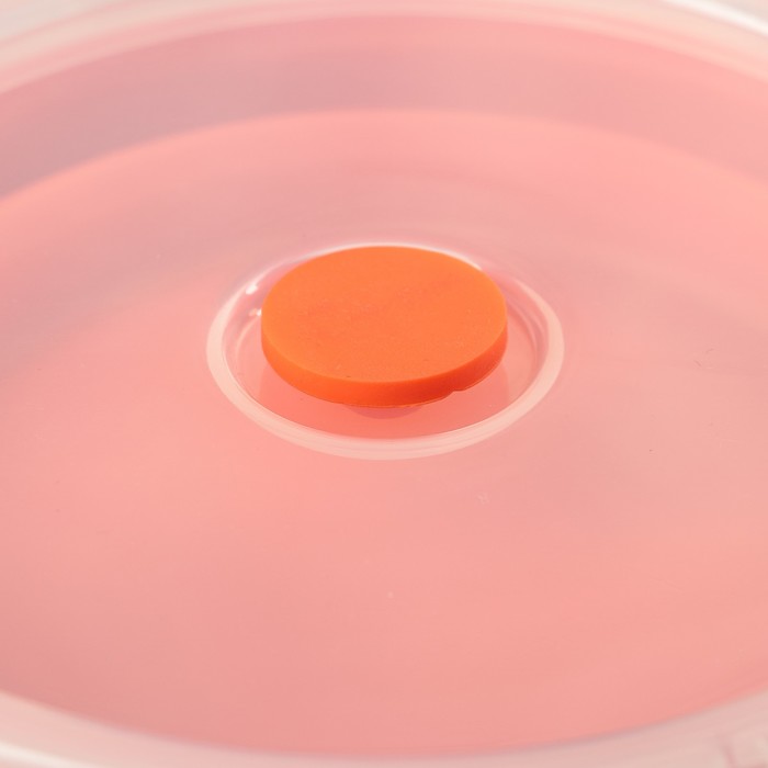 Контейнер складной 800 мл "Ронда", с крышкой, цвета МИКС