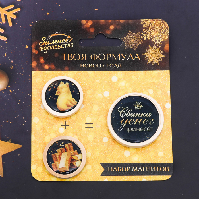Набор из 3 магнитов "Свинка денег принесёт"