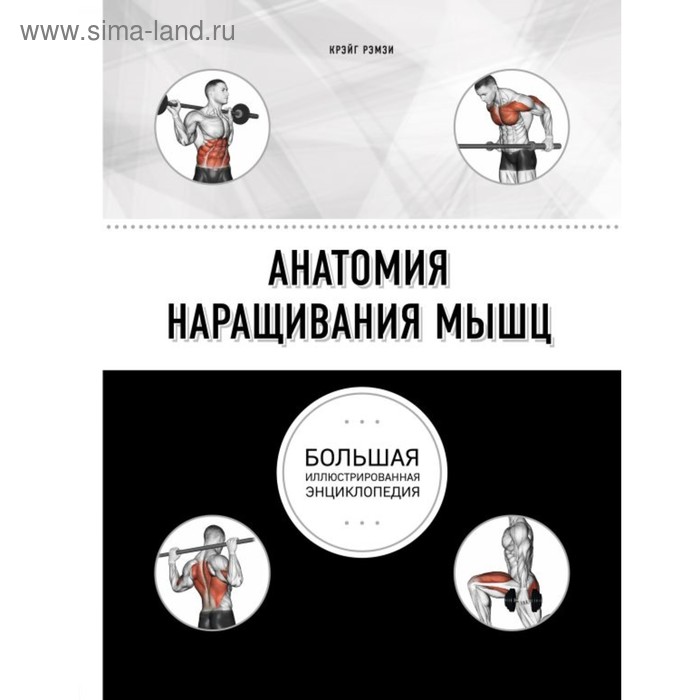   Сима-Ленд Анатомия наращивания мышц. Рэмзи К.