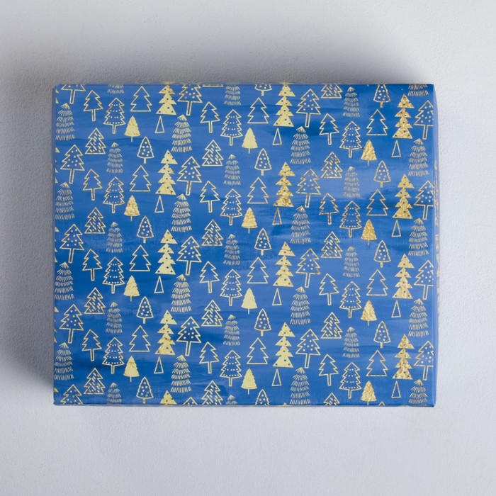 Упаковка для кондитерских изделий «Время добрых подарков», 20 х17 х 6 см