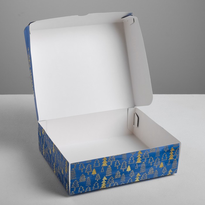 Упаковка для кондитерских изделий «Время добрых подарков», 20 х17 х 6 см