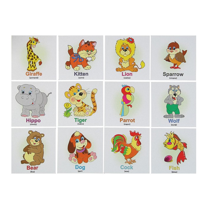 Развивающие карточки для малышей. Животные (учим английский) (12 штук)