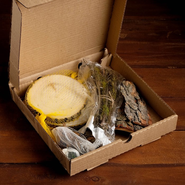 Набор для творчества «Эко-3»: спилы ясеня, кора, мох сфагнум, моховые палочки, яшма