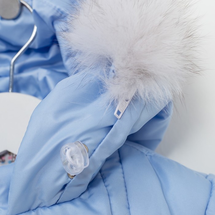 Комплект (Куртка + Полукомбинезон), рост 80 см, цвет голубой