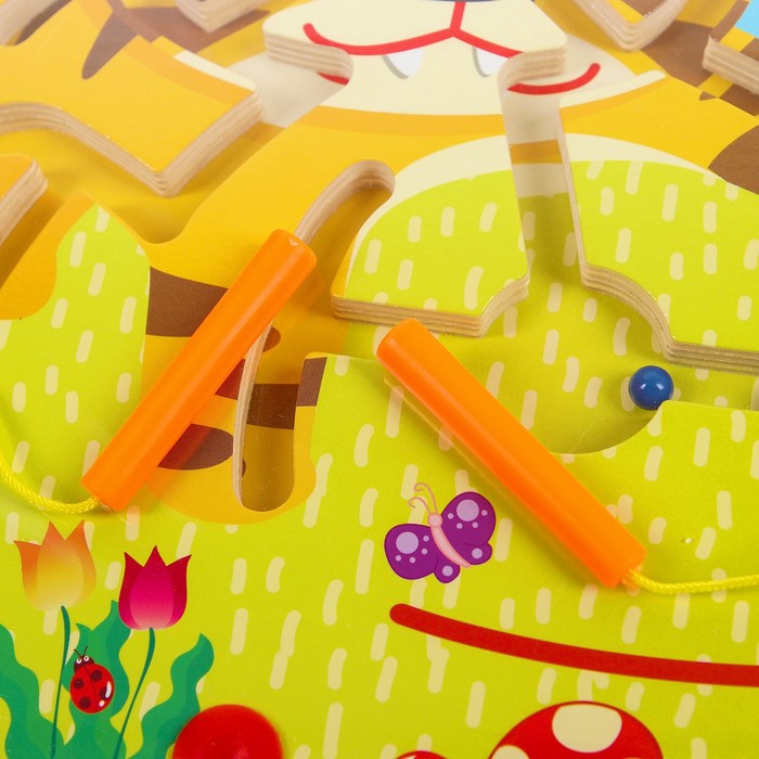 Лабиринт магнитный большой "Тигрёнок"