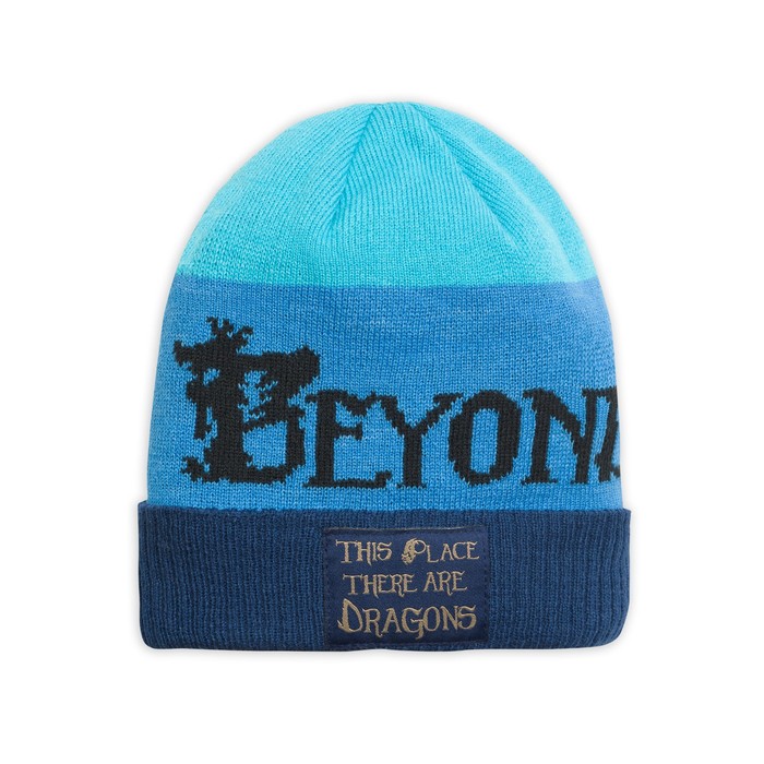 Шапка для мальчика, размер 53-54 см, цвет синий