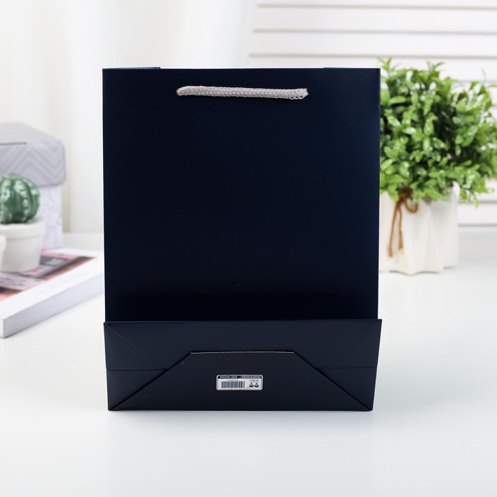 Пакет подарочный люкс, 18 х 8 х 23 см