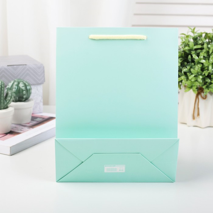 Пакет подарочный люкс, 18 х 8 х 23 см