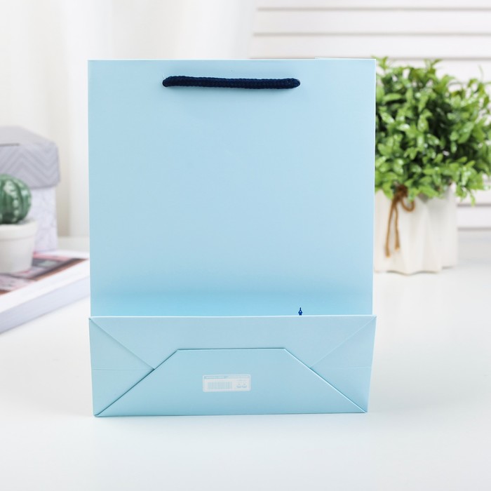 Пакет подарочный люкс, 18 х 8 х 23 см