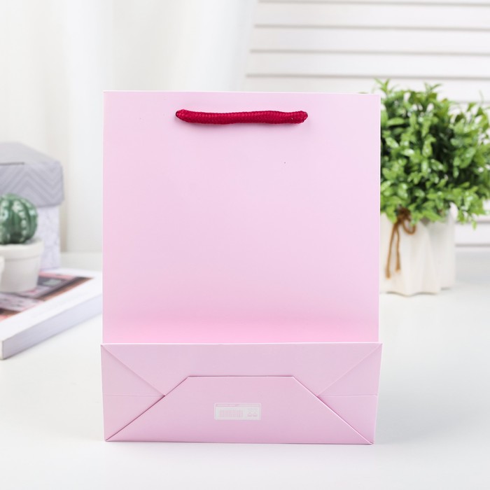 Пакет подарочный люкс, 18 х 8 х 23 см