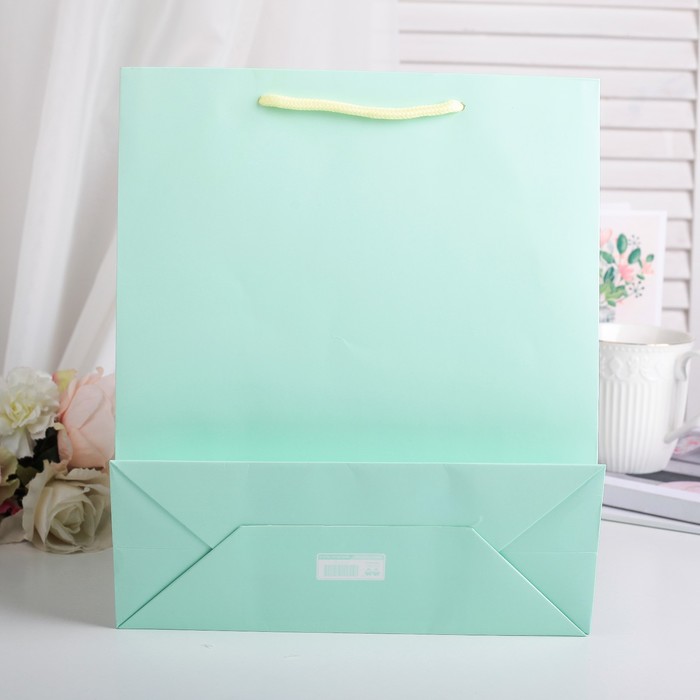 Пакет подарочный люкс, 27 х 11 х 34,5 см