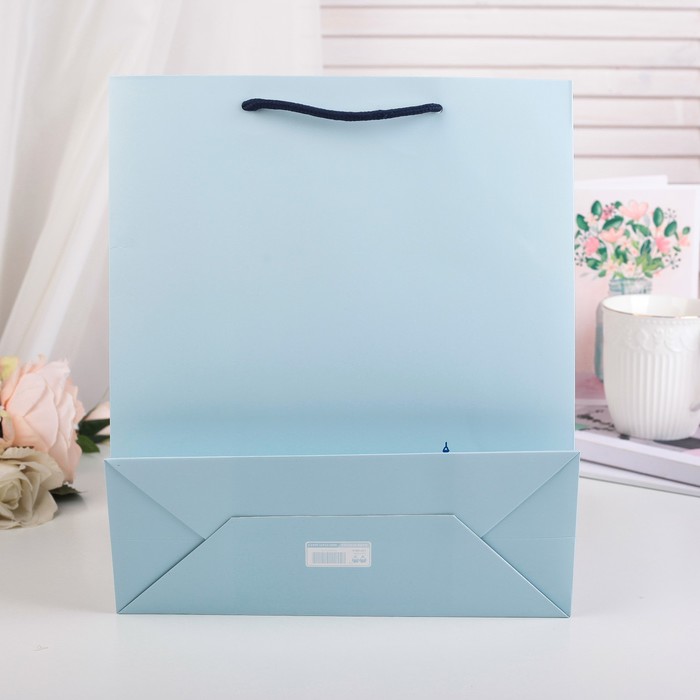 Пакет подарочный люкс, 27 х 11 х 34,5 см