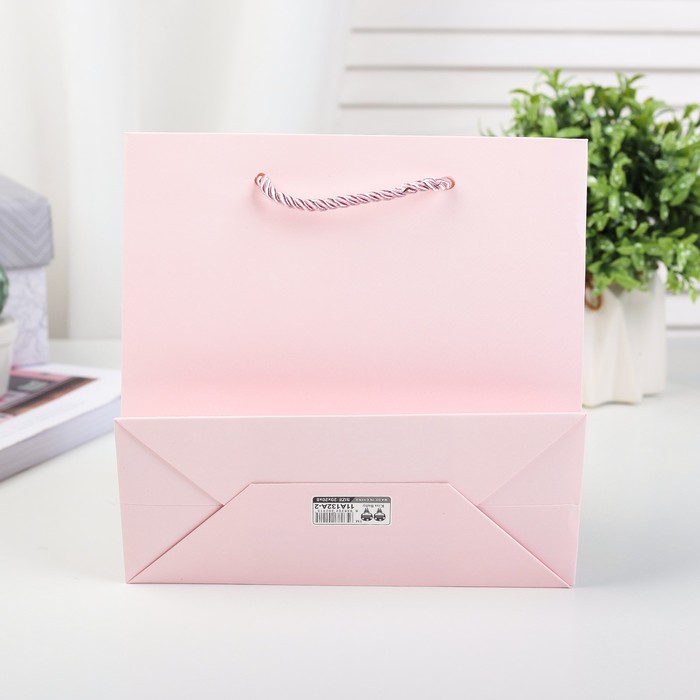 Пакет подарочный люкс, 20 х 9 х 19 см