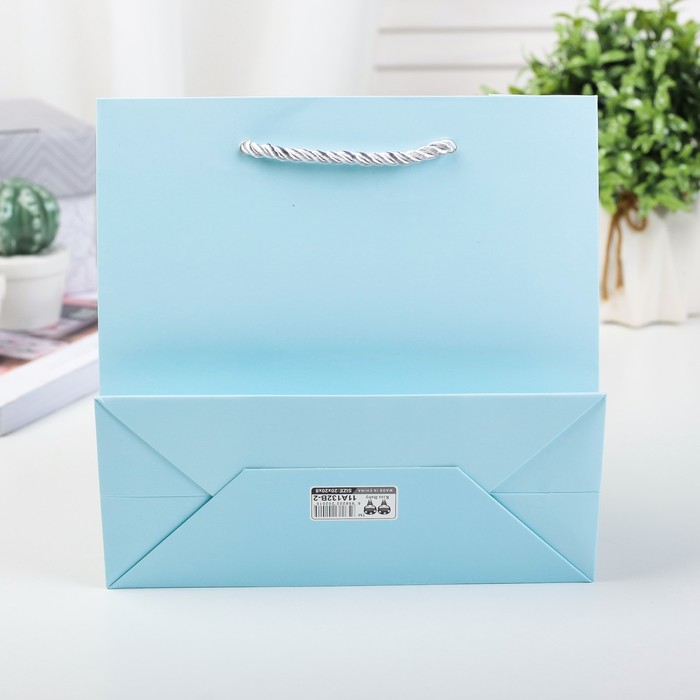 Пакет подарочный люкс, 19 х 9 х 20 см