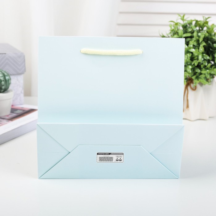 Пакет подарочный люкс, 19 х 9 х 20 см