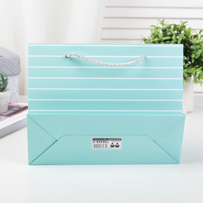 Пакет подарочный люкс, 24 х 9 х 19 см