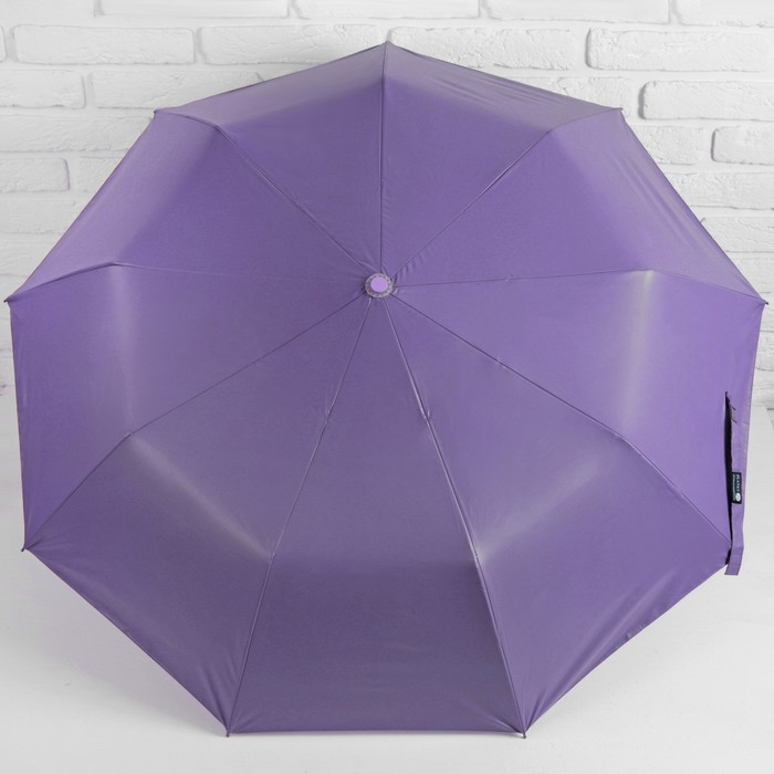 Зонт полуавтоматический "Тропики", R=51см, цвет купола сиреневый