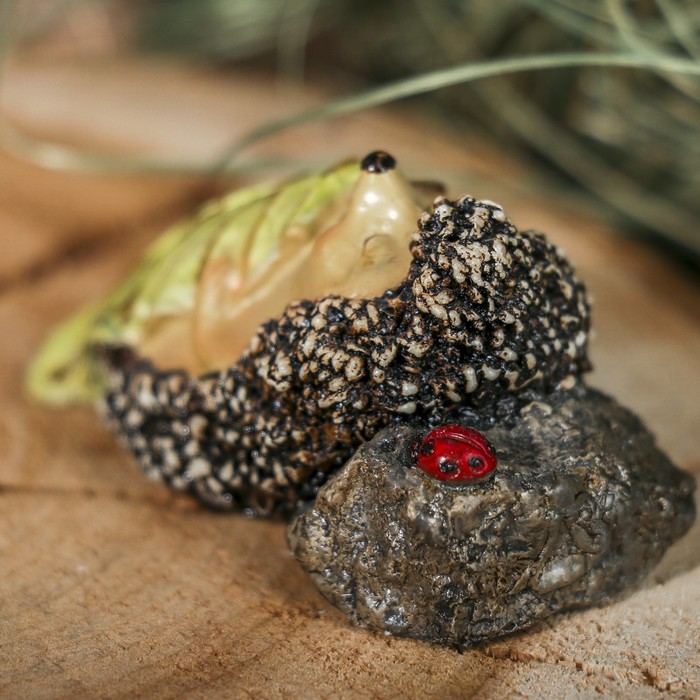 Сувенир полистоун "Ежик спит под листом" 7х3,5х3,5 см